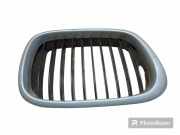 Vorderer oberer Gitter BMW 5 Touring (E39) 520 i