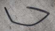 Türgummi links vorne Peugeot 406 ()