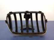 Lüftungsgitter für Stoßfänger BMW X3 (F25) 7210725