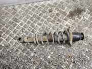 Stoßdämpfer hinten links TOYOTA COROLLA (_E12_) 1.4 D (NDE120_)
