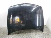 Motorhaube Honda Accord VIII (CU)