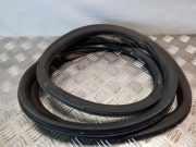 Türdichtung Seat Leon (1P)