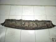 Grill Windlauf Peugeot Expert III Kasten (V)