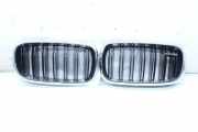 Vorderer oberer Gitter BMW X6 (F16, F86) xDrive 30 d 87700409