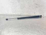Heckklappe Gasdruckfeder links OPEL INSIGNIA A Sedan (G09) 1.4 0172130660N 315005777