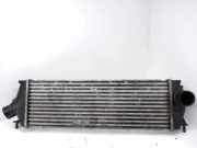 Ladeluftkühler RENAULT TRAFIC II Furgon (FL) 2.0 dCi 115 (FL01, FL0U) 8200411160