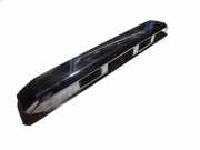 Kennzeichenbeleuchtung NISSAN PATHFINDER III (R51) 2.5 dCi 4WD 90810EB50A