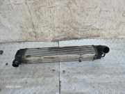 Ladeluftkühler Renault Megane III Grandtour (KZ) 144960023R