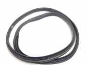 Türdichtung Renault Clio III (BR0/1, CR0/1)