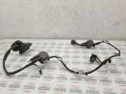 Türverkabelung hinten links AUDI A6 (4F2, C6) 3.0 TDI quattro 4F1971687N