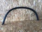 Rear Arch Liner Trim BMW X6 (E71, E72) xDrive 30 d 51127176329