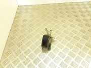 Hupe OPEL VECTRA C Estate 1.9 CDTI 55306AM80S