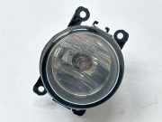 Nebelscheinwerfer links vorne Porsche Cayenne 2 (92A) 89210094