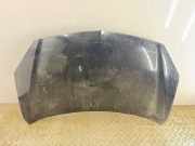Motorhaube RENAULT KOLEOS I (HY_) 2.0 dCi 4x4 (HY0K) TEGXA