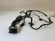 Kabel der vorderen linken Tür MERCEDES-BENZ R (W251, V251) R 320 CDI 4-matic (251.022, 251.122) 981576102