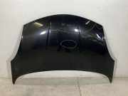Motorhaube NISSAN NOTE (E11, NE11) 1.5 dCi F51009U0M0