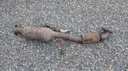 Katalysator VOLVO V70 III (BW) 2.5 T 30696154
