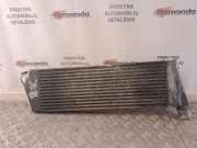 Ladeluftkühler RENAULT GRAND SCÉNIC II (JM0/1_) 1.9 dCi (JM14) M5506001