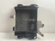 Ladeluftkühler AUDI A8 D4 (4H_) 4.0 TFSI quattro 8K0121212B