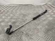 Heckklappe Gasdruckfeder links TOYOTA YARIS (_P1_) 1.4 D-4D (NLP10_)