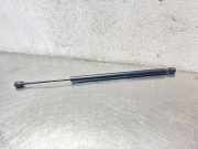 Heckklappe Gasdruckfeder links OPEL FRONTERA B (6B_) 2.2 i (6B_ZC, 6B_VF, 6B_66, 6B_76) 8971717300