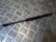 Heckklappe Gasdruckfeder rechts AUDI A5 Sportback (8TA) 2.0 TFSI quattro 8T0827919