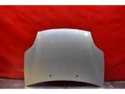 Motorhaube Fiat Bravo II (198)