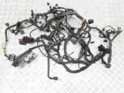Motor Kabelbaum VOLVO V70 III (BW) T6 AWD 31260278
