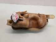 Ausgleichsbehälter HONDA CIVIC VIII Hatchback (FN, FK) 2.2 CTDi (FK3)