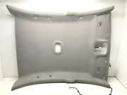 Dachverkleidung CHEVROLET EPICA (KL1_) 2.5