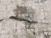 Lenksäule OPEL ASTRA G Coupe (F07_) 1.6 16V 0250080025001