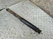 Stoßdämpfer hinten links