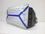 Armaturenbrett Airbag RENAULT LAGUNA II (BG0/1_) 1.9 dCi (BG08, BG0G) 8200106536F