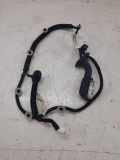 Türverkabelung hinten links RENAULT CLIO V (B7_) 1.3 TCe 130 (B7MF) 36540