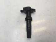 Zündspule FORD KUGA III (DFK) 2.5 Duratec Plug-in-Hybrid LX6E12A375BA