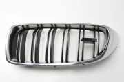 Vorderer oberer Gitter BMW 4 Coupe (F32, F82) M4 8054331