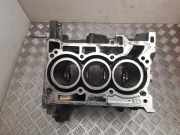 Motorblock DACIA SANDERO II TCe 90 110112160R