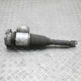 Stoßdämpfer hinten rechts