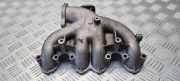 Ansaugbrücke SEAT ALHAMBRA (7V8, 7V9) 1.9 TDI 038129713AG