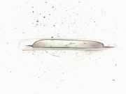 Gitter Grill vorne rechts MERCEDES-BENZ C (W204) C 200 CDI (204.001) A2048853074