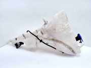 Behälter Scheibenwaschanlage Jaguar XF (X250) 8X2317B613B