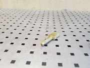 Sensor für Gaspedalstellung Audi 80 Avant (8C, B4) 443945515