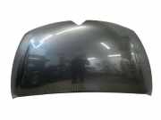 Motorhaube Citroen C4 II Picasso ()