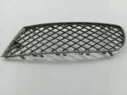 Gitter vorne unten BENTLEY CONTINENTAL FLYING SPUR (3W_) 6.0 3W5807683