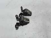 Türscharnier hinten links Renault Laguna III (T) 824010009R