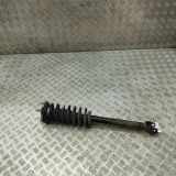 Stoßdämpfer vorne rechts MERCEDES-BENZ E T-Model (S213) E 220 d (213.204) A2133202013