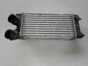 Ladeluftkühler Citroen Berlingo II Multispace (B9) 9684212480
