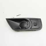 Nebelscheinwerferverkleidung RENAULT MASTER III Furgon (FV) 2.3 dCi 145 FWD (FV0E, FV0F, FV0H, FV0J) 263360029R