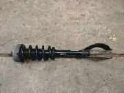 Stoßdämpfer vorne links BMW X5 (F15, F85) xDrive 40 d 3131685174702