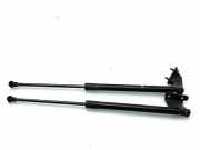 Heckklappe Gasdruckfeder links NISSAN QASHQAI II (J11, J11_) 1.6 DIG-T 90450JD01D 90458JD01C